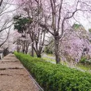 c/n..♡の画像