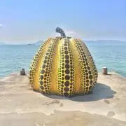 KOHOの画像