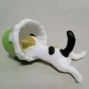 ねこみ♪プロフ見てね！の画像