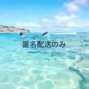 みの画像