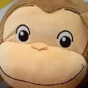 Jorgeの画像