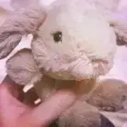 ythkの画像