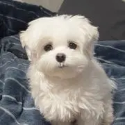 M໒꒱の画像