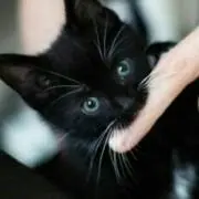 ミナミ