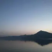 Ricの画像