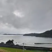 楓