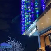 ぽんずの画像