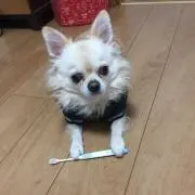 あき子の画像