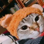 れお