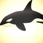オルカの画像