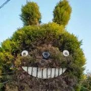 まりちゃん