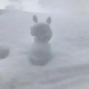 きら。の画像