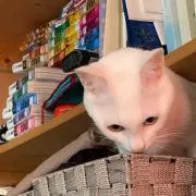 ポンデリング