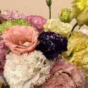 KANOの画像