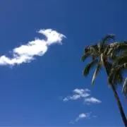 はーとの画像
