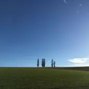じょんの画像