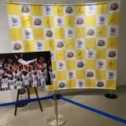 頑張れタイガース（即購入おまとめ大歓迎）の画像