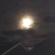 たからばこの画像