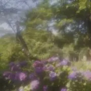 トントンの画像