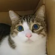 Mayの画像