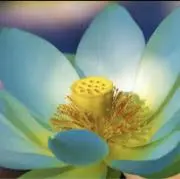 栞*。☪︎*。の画像