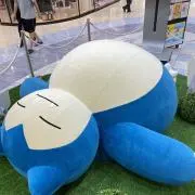 たまらいとの画像