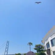 おもち
