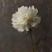 jjnnの画像