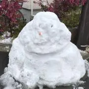 ゴキゲン