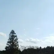 yu．の画像