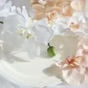 mmの画像
