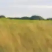 ドライヤー