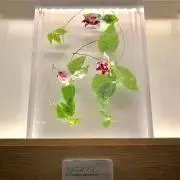 しうまいの画像