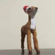 yuyuの画像