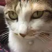 楽一番公式アカウント07番 専用ページ - メルカリ