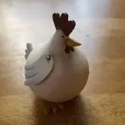 cocco