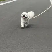 【人気シール有】ぽお先生のシール断捨離場の画像