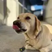 MYKの画像