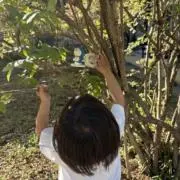 よっしー⭐︎即購入OKの画像