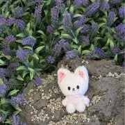 pikaenneの画像