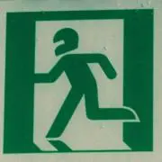 ぽこの画像
