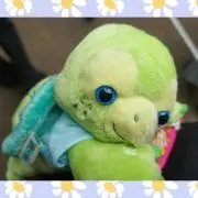 ☆ちみ☆の画像