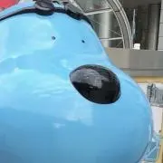 ちゃんおの画像