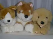 モー