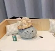 reiの画像
