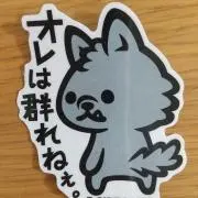 カシコの画像