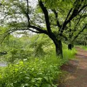 Hima-Jinの画像