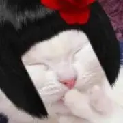221BASEの画像