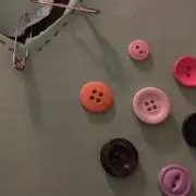 momonの画像