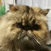 ＹＵ